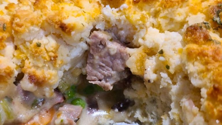 Close-up of a Leftover Brisket Pot Pie, showing a piece of tender meat, creamy filling with vegetables, and a golden, crumbly crust.