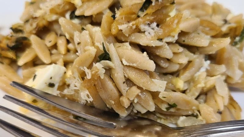 A close-up of tuna and orzo pasta mixed with herbs and cheese, with a fork resting in front of the food.