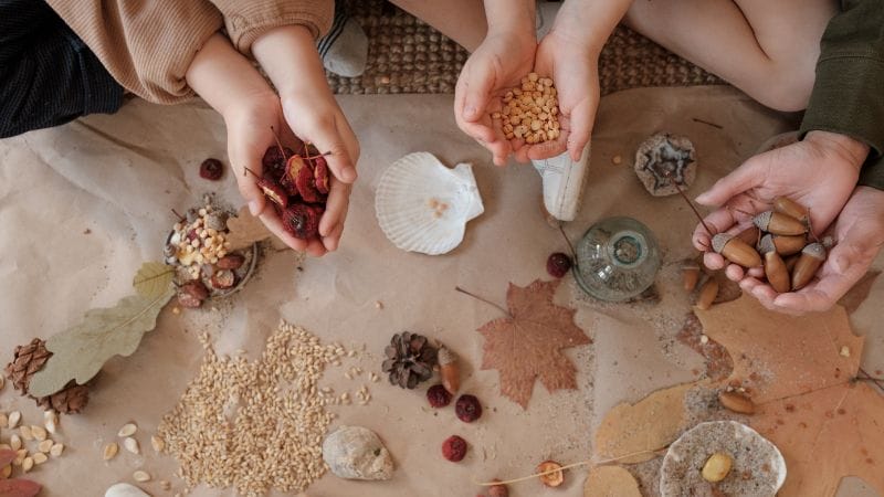 Three people sitting on the floor at a Nature-Based Home Daycare hold dried seeds, berries, and acorns in their hands above paper decorated with leaves, grains, and other natural objects.