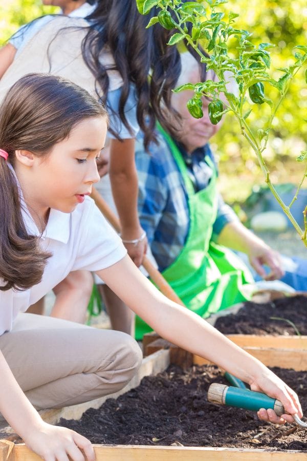 Children and adults are gardening together outdoors at a Nature-Based Home Daycare, tending to raised garden beds with soil and plants.