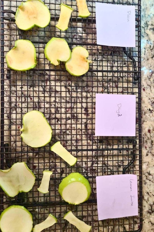 Sliced green squash pieces on a wire rack with three labeled notes: "Plain," "Day 2," and "Lemon Juice," on a granite countertop—perfect for comparing in lesson plans on apples and exploring food preservation.