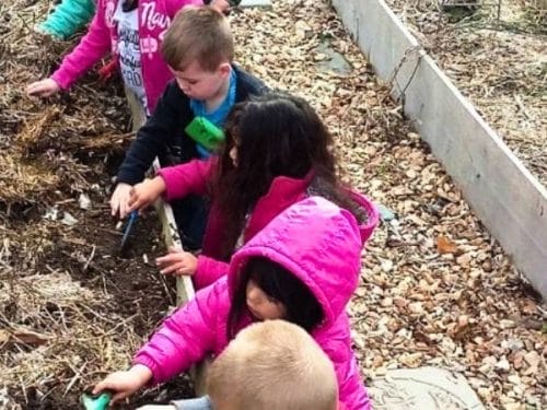 Four young children dig in a raised garden bed with small tools, wearing jackets and surrounded by dry plants and soil—an inspiring scene of Educational Activities with Nature.