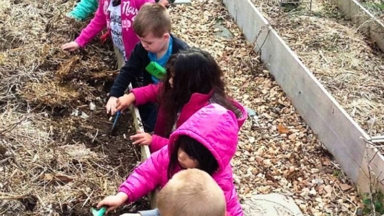 Four young children dig in a raised garden bed with small tools, wearing jackets and surrounded by dry plants and soil—an inspiring scene of Educational Activities with Nature.