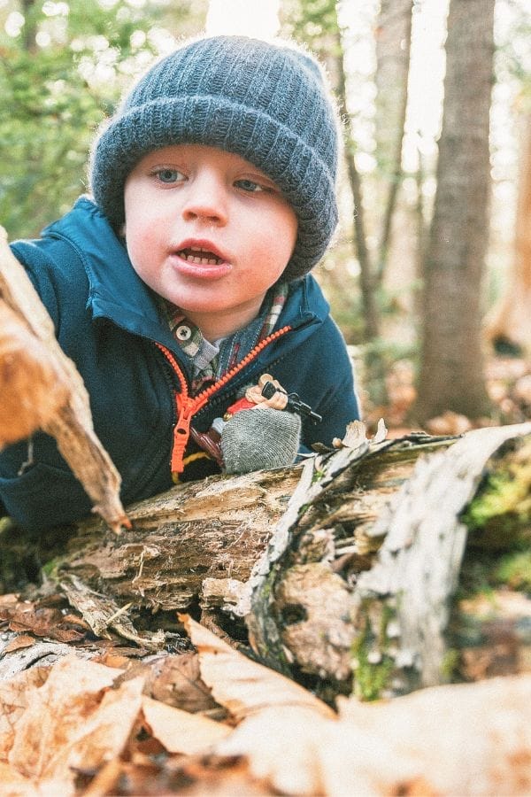 A young child in a blue knit hat and jacket examines a fallen tree trunk in a forested area, an ideal moment for teaching kids about recycling and caring for the environment.