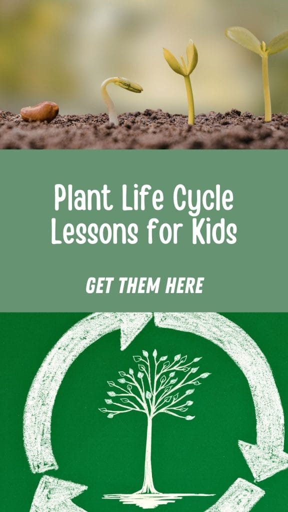 Three stages of a plant sprouting from soil, with text reading "Plant Life Cycle Lessons for Kids. Get Them Here" and a chalk drawing of a tree inside a recycle symbol, highlighting fun, engaging Plant Life Cycle Lessons.