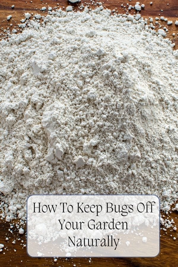 A pile of white powder, likely diatomaceous earth, on a wooden surface with the text "Keep Bugs Off Your Garden Naturally" at the bottom.